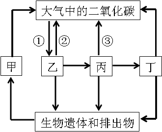 2019年四川教師資格證考試大綱:《科學(xué)學(xué)科知識(shí)及教學(xué)能力》(初級(jí)中學(xué))