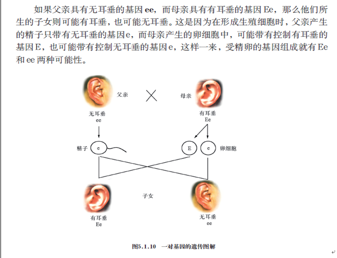 2019年四川教師資格證考試大綱:《科學(xué)學(xué)科知識(shí)及教學(xué)能力》(初級(jí)中學(xué))
