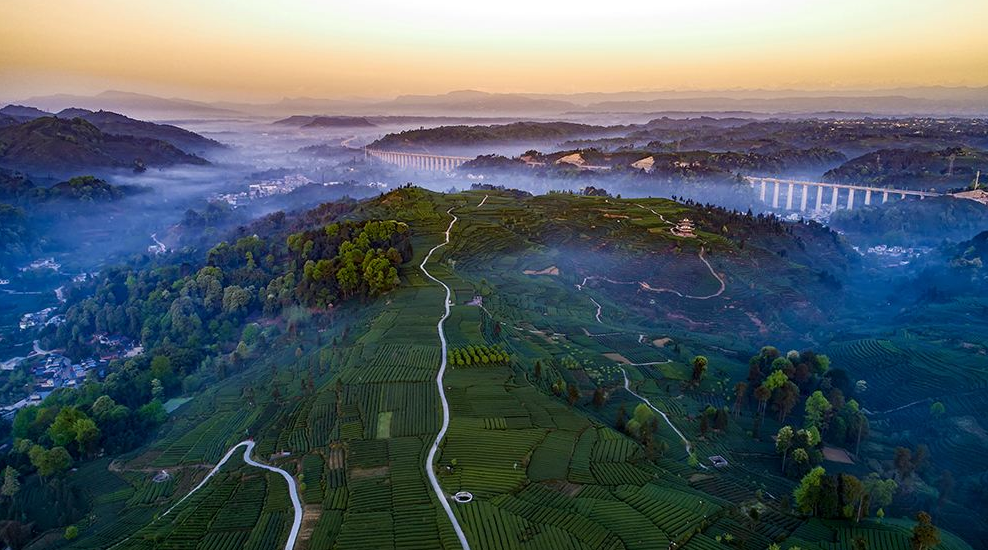 2020上半年雅安市名山區(qū)四川教師資格認(rèn)定報(bào)名時(shí)間與現(xiàn)場確認(rèn)地點(diǎn)已出